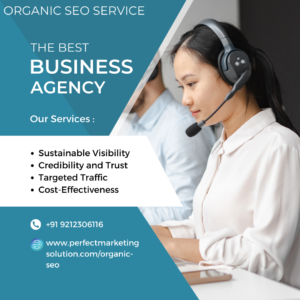 Organic SEO Agency Success